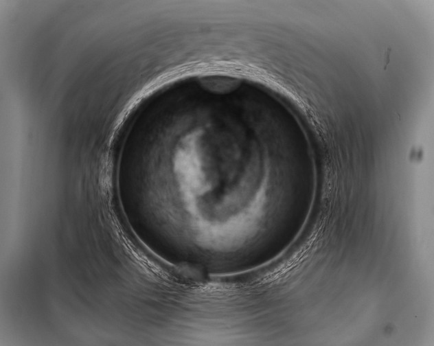 X0000101231506200806271459
