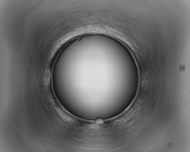 X0000101231507200806271459