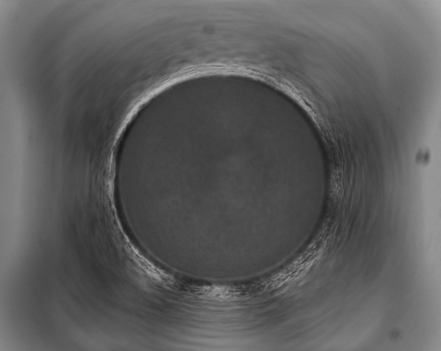X0000101231508200806271459
