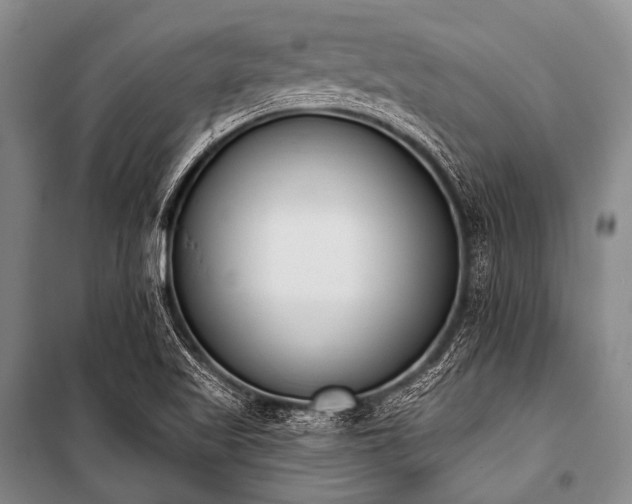 X0000101231509200806271459