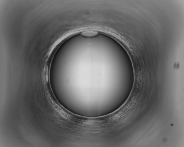 X0000101231510200806271459