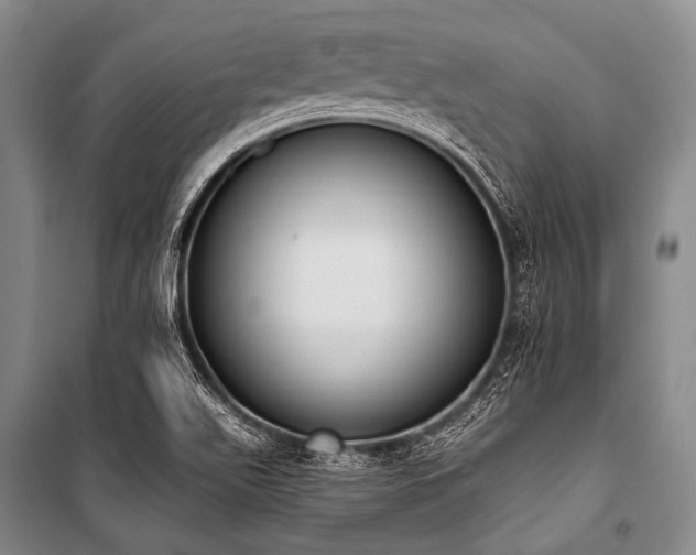X0000101231511200806271459