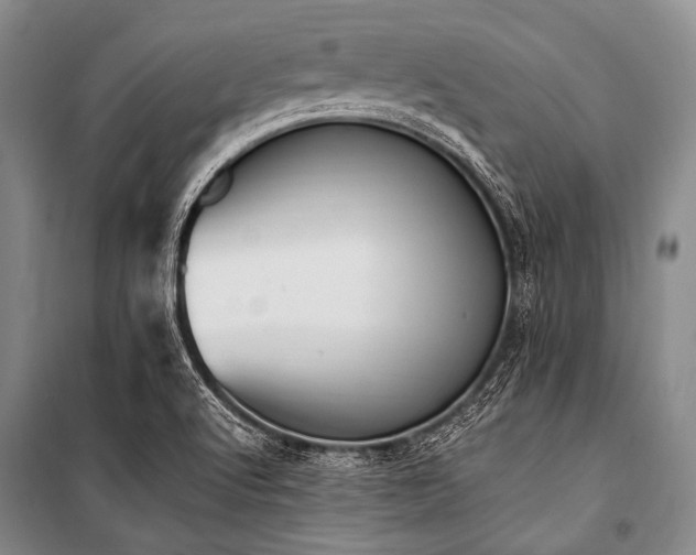 X0000101231512200806271459