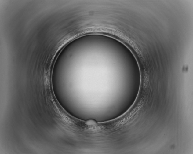 X0000101231513200806271459