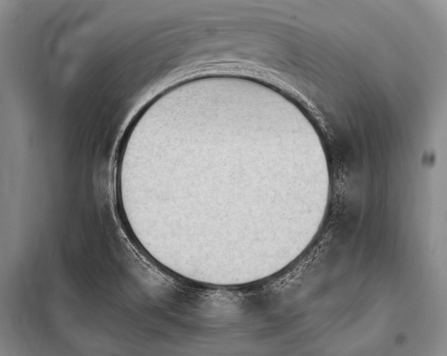 X0000101231514200806271459