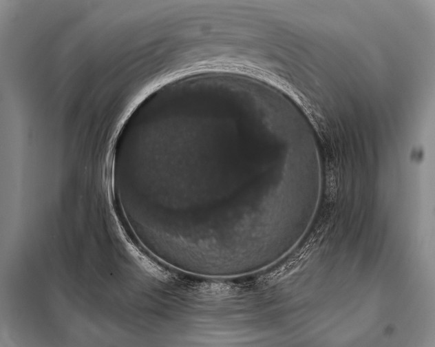 X0000101231515200806271459
