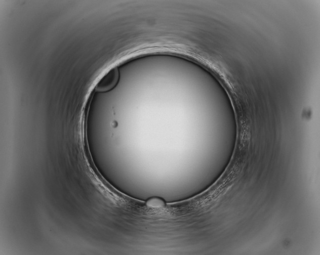 X0000101231516200806271459