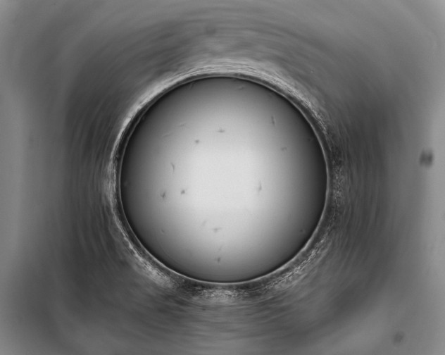 X0000101231517200806271459