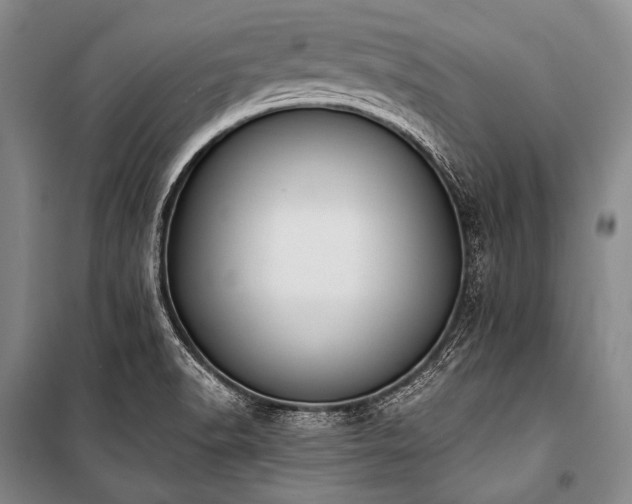 X0000101231518200806271459
