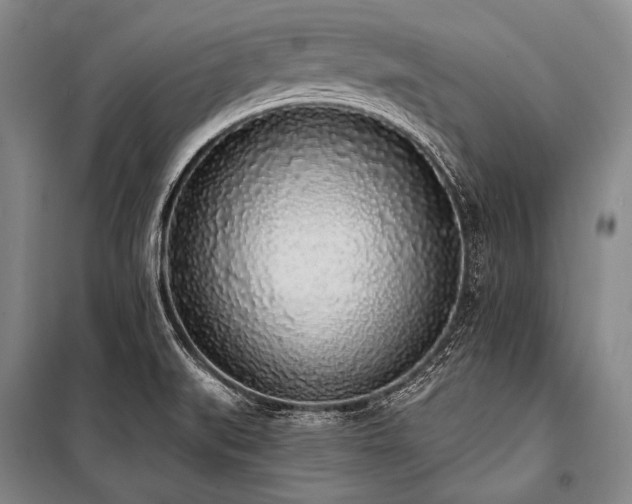 X0000101231519200806271459
