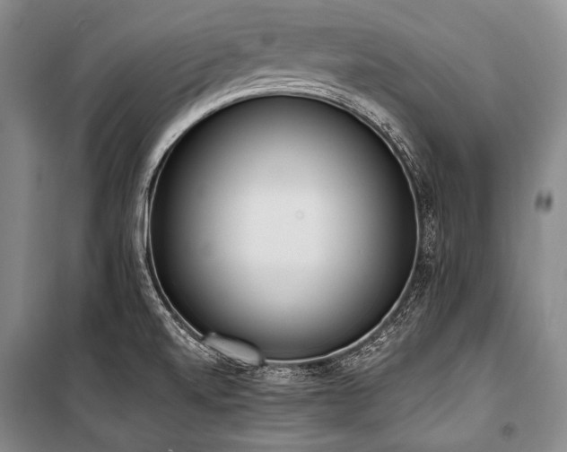 X0000101231520200806271459