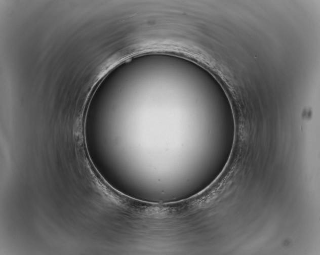 X0000101231521200806271459