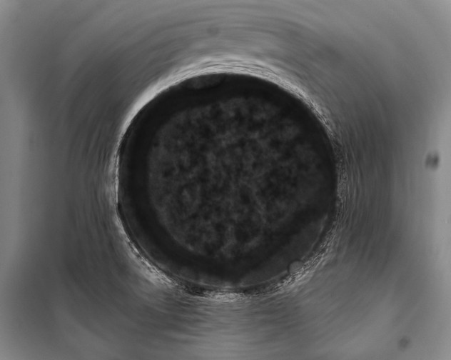 X0000101231522200806271459