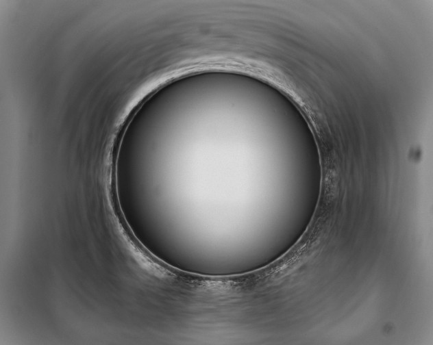 X0000101231523200806271459