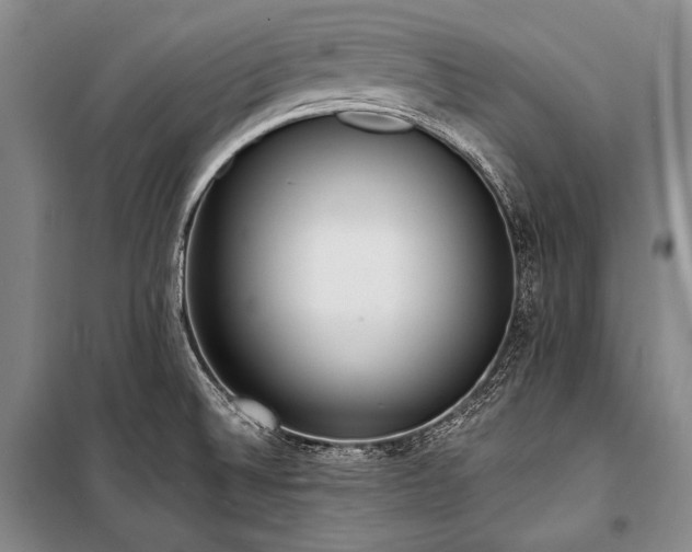 X0000101231524200806271459