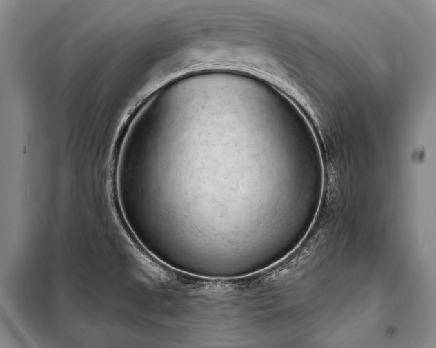 X0000101231525200806271459