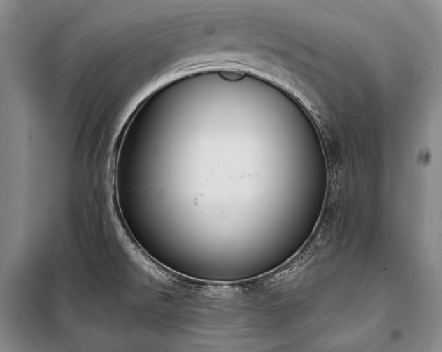 X0000101231526200806271459
