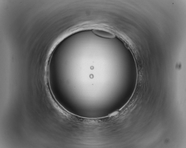 X0000101231528200806271459