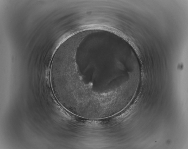 X0000101231529200806271459