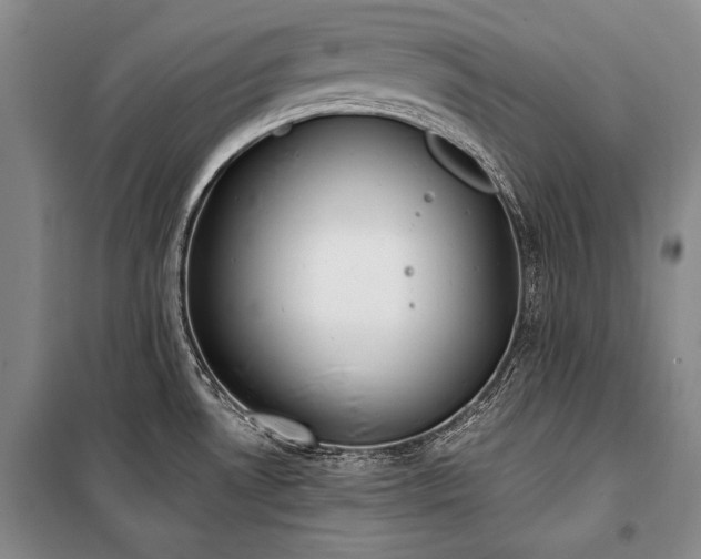 X0000101231530200806271459