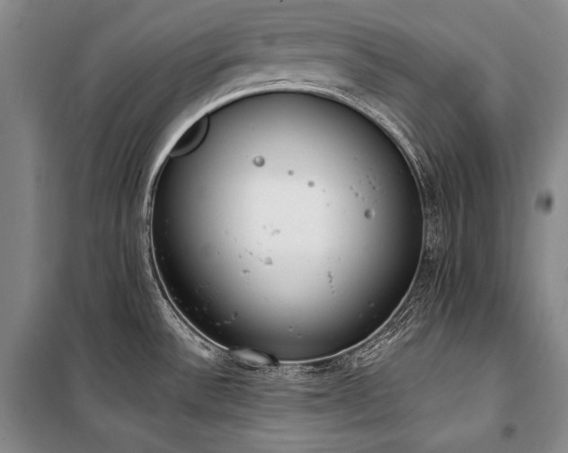 X0000101231532200806271459