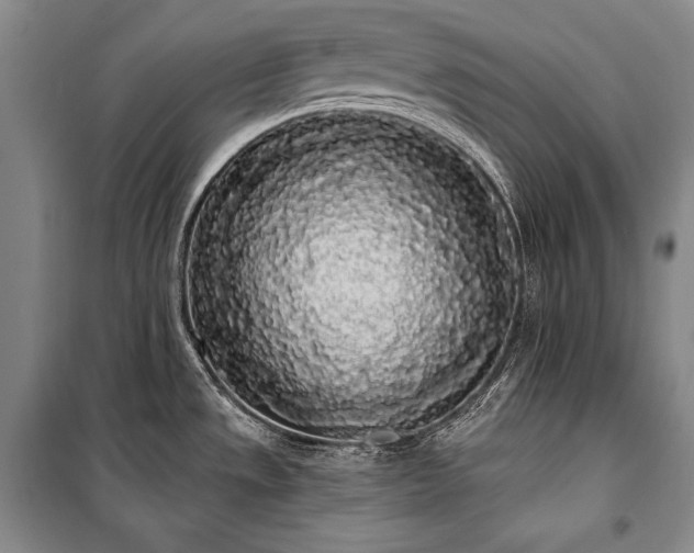 X0000101231533200806271459