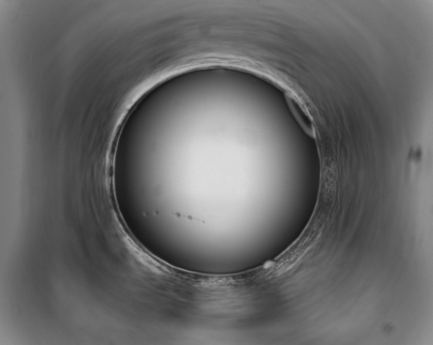 X0000101231535200806271459