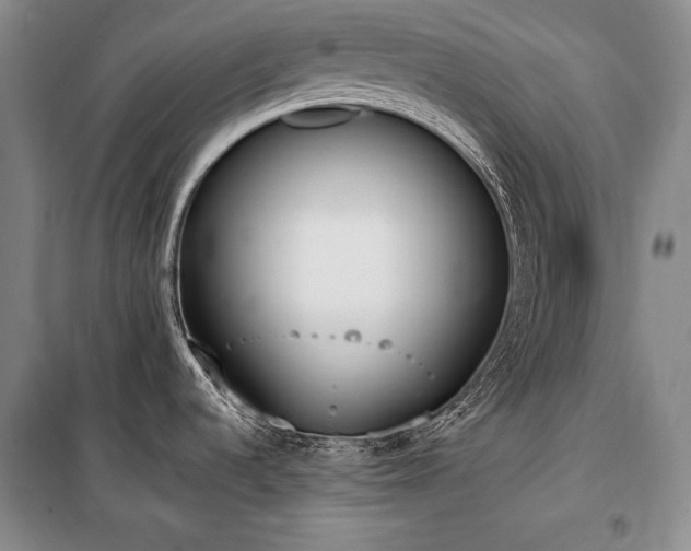 X0000101231536200806271459