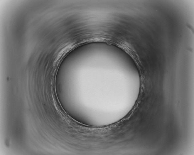 X0000101230001200807071423