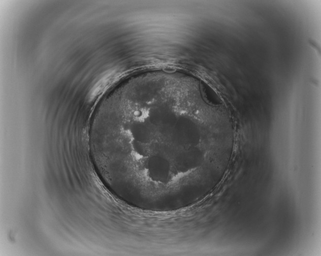 X0000101230002200807071423