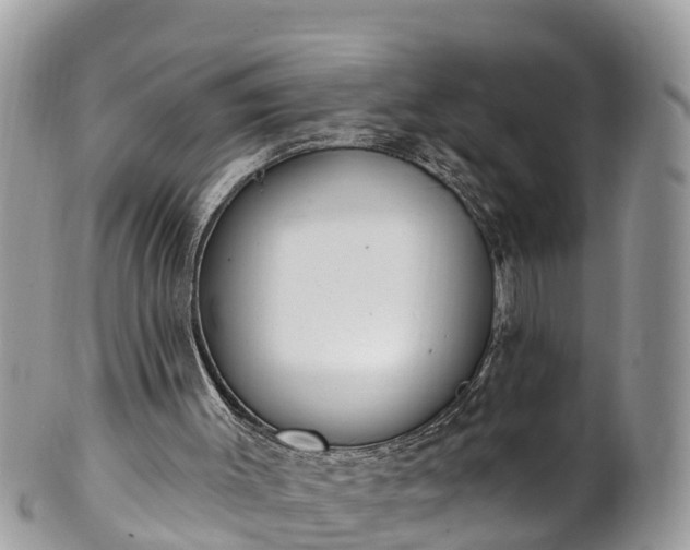 X0000101230003200807071423