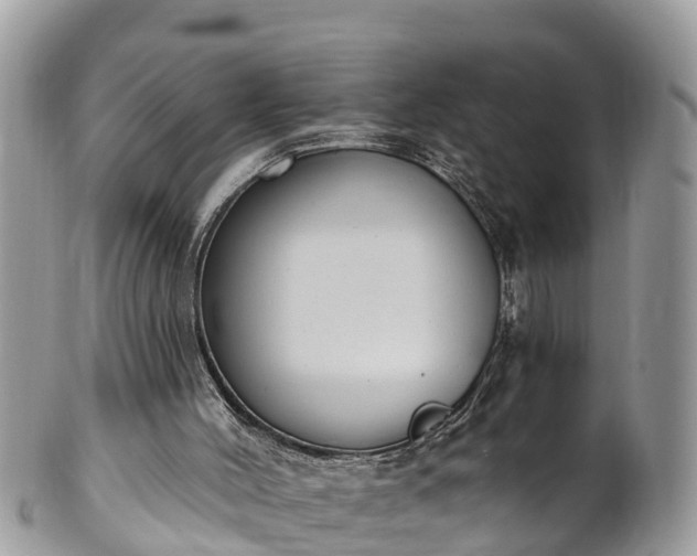 X0000101230004200807071423