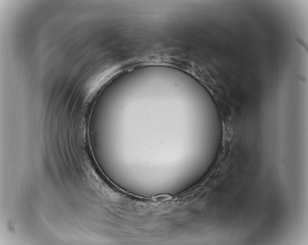 X0000101230005200807071423