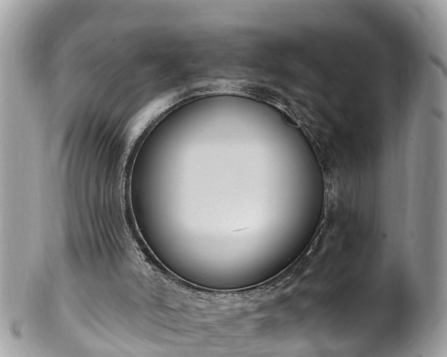 X0000101230006200807071423