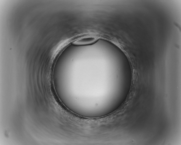 X0000101230007200807071423