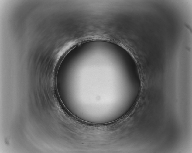 X0000101230008200807071423