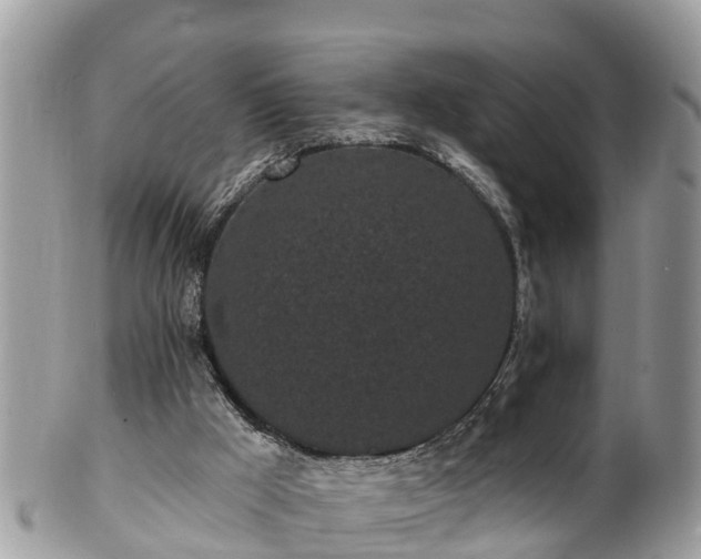 X0000101230009200807071423