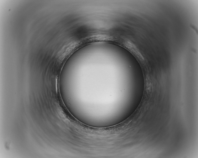 X0000101230014200807071423