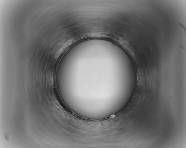 X0000101230015200807071423