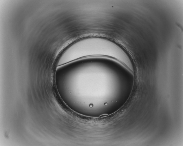 X0000101230016200807071423