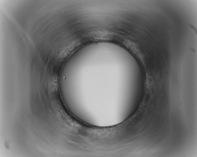 X0000101230017200807071423