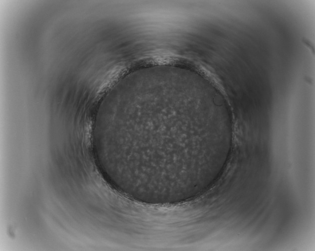 X0000101230018200807071423