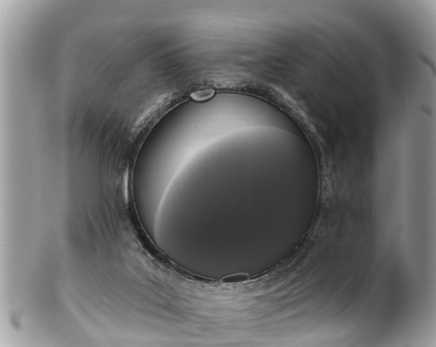 X0000101230019200807071423