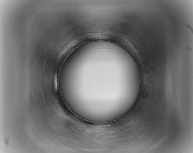 X0000101230020200807071423