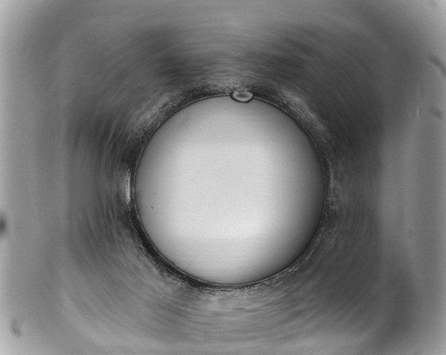 X0000101230021200807071423