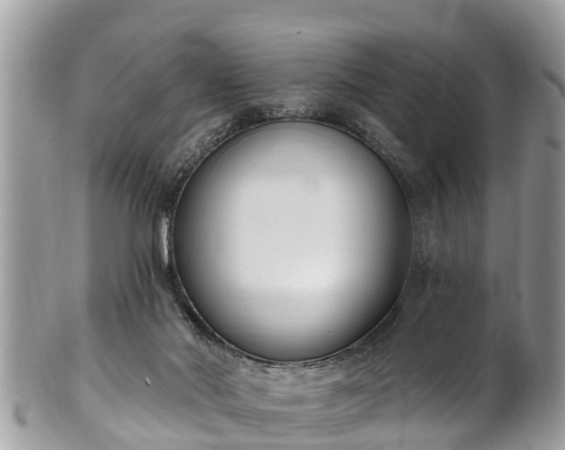 X0000101230022200807071423