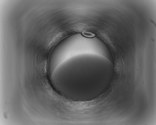 X0000101230023200807071423