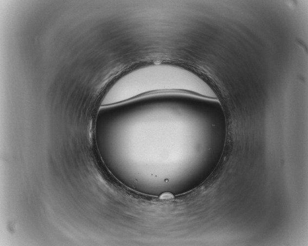 X0000101230024200807071423