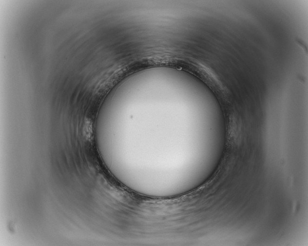 X0000101230025200807071422