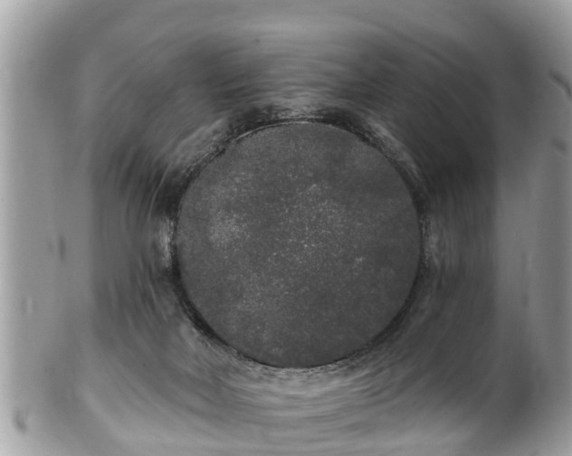 X0000101230026200807071422